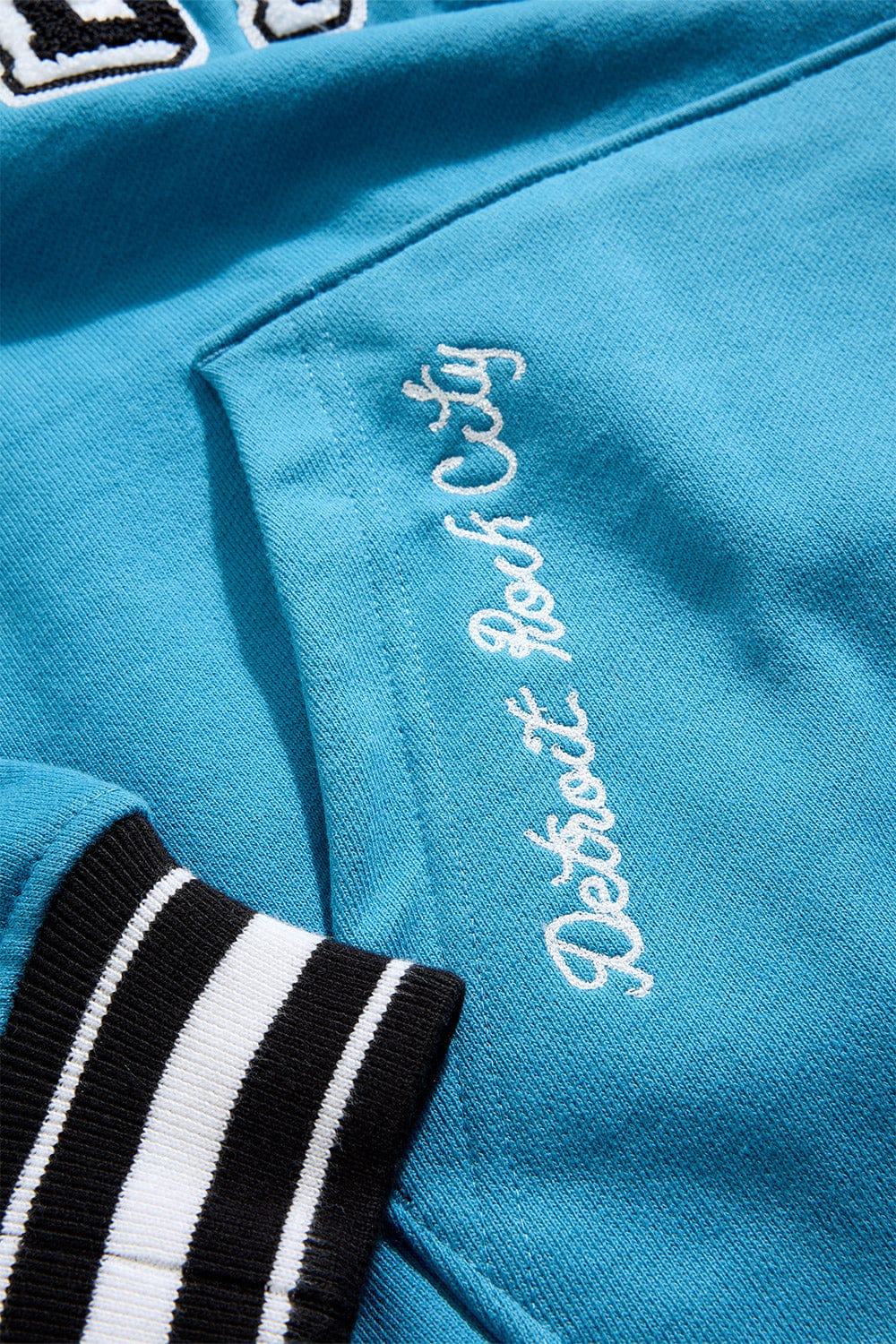 D-Town Pullover Hoodie (Lion) - Image 10