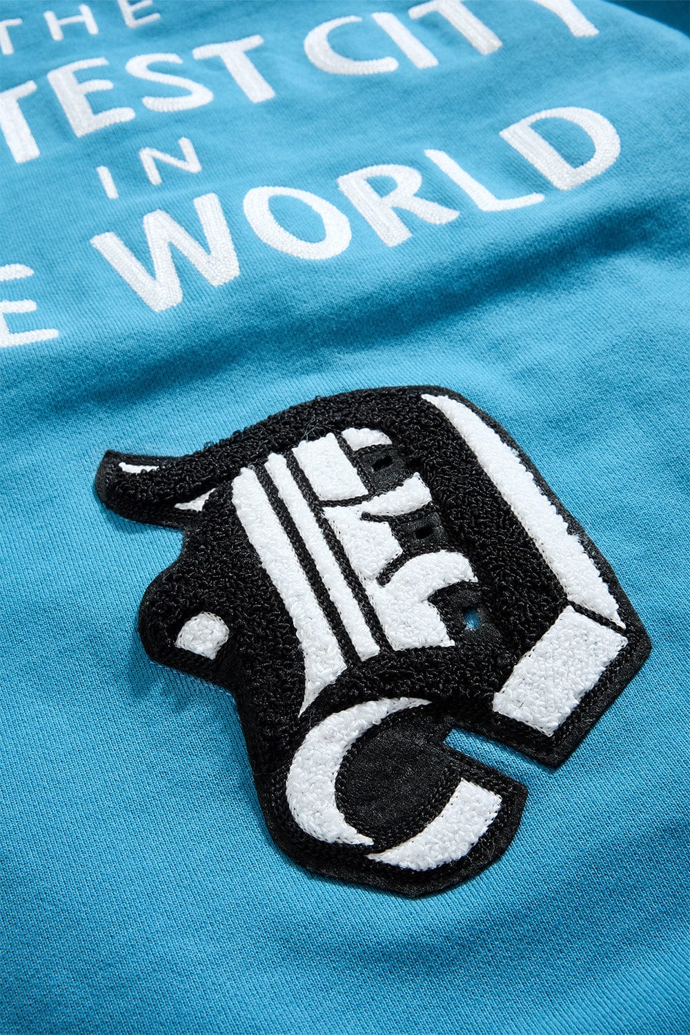 D-Town Pullover Hoodie (Lion) - Image 7