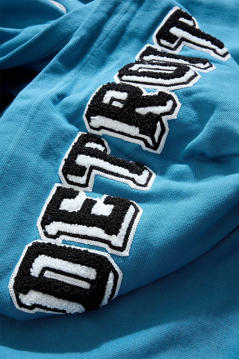 D-Town Pullover Hoodie (Lion) - Image 8