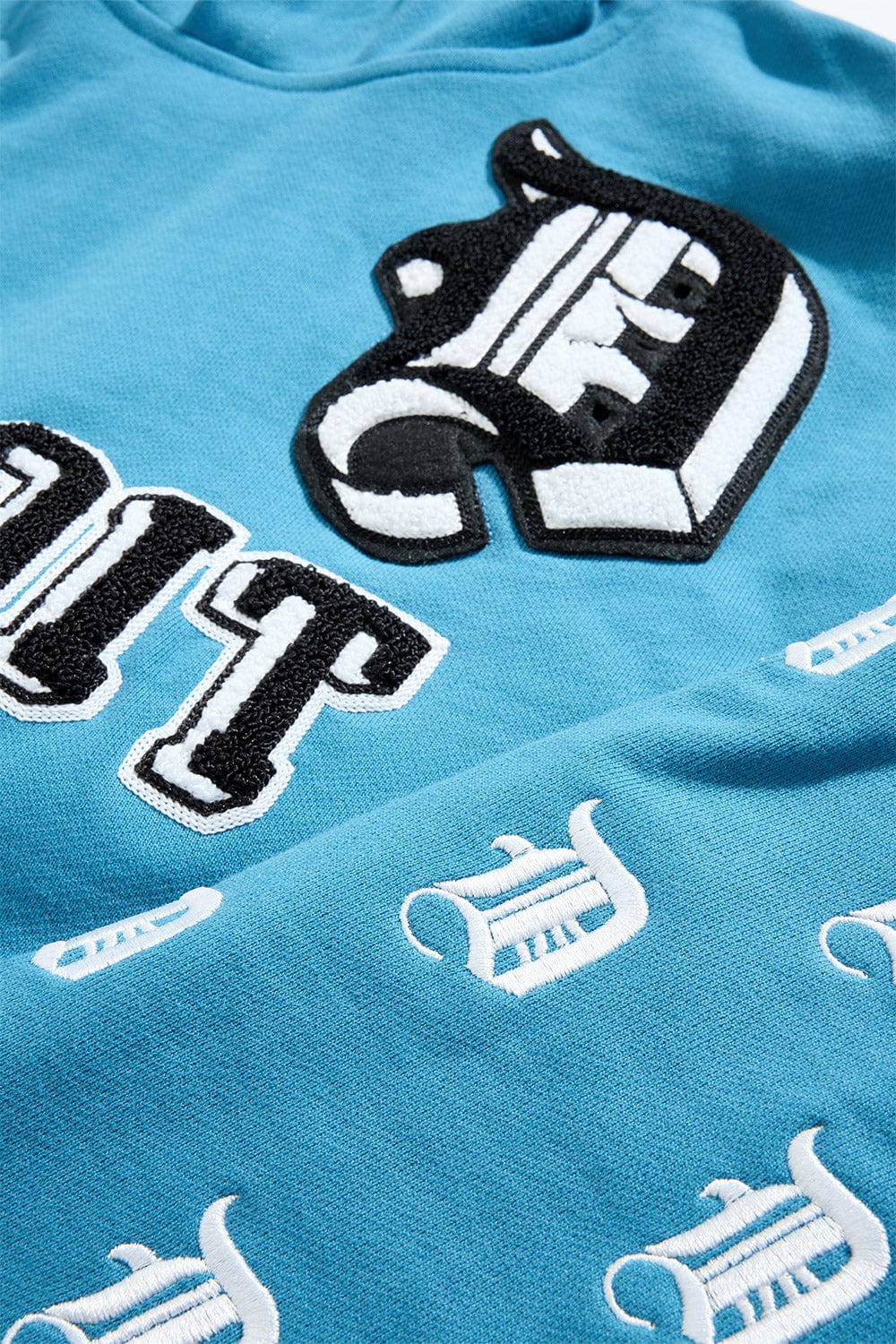 D-Town Pullover Hoodie (Lion) - Image 9